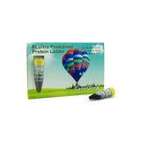 BLUltra Prestained Protein Ladder - Clover Biosciences, LLC