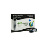 BLUeye Prestained Protein Ladder - Clover Biosciences, LLC