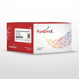 Mbead Bacteria Genomic DNA Kit - Clover Biosciences, LLC