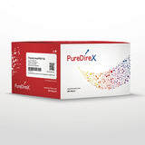 Plasmid maxiPREP Kit - Clover Biosciences, LLC
