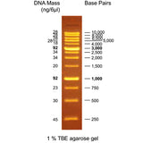 GD OneMARK B RTU - Clover Biosciences, LLC