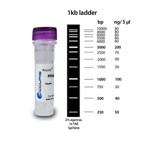 Accuris SmartCheck™ 1kb DNA Ladder - Clover Biosciences, LLC