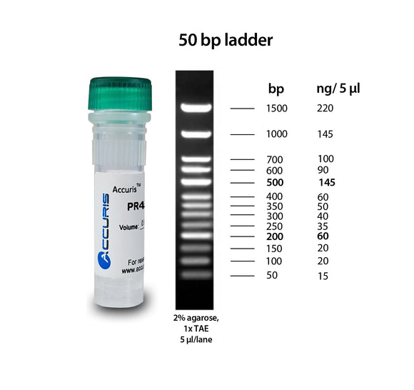 Accuris SmartCheck™ 50bp DNA Ladder - Clover Biosciences, LLC