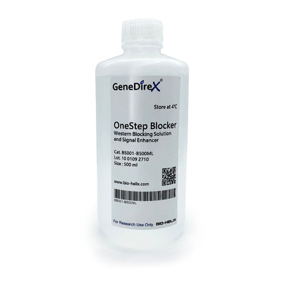 OneStep Blocker, Western Blocking Solution and Signal Enhancer – Clover ...
