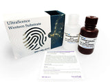 UltraScence Pico Plus Western Substrate - Clover Biosciences, LLC