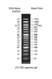 GD 50bp DNA Ladder RTU - Clover Biosciences, LLC