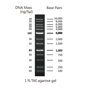 GD 1Kb Plus DNA Ladder RTU - Clover Biosciences, LLC