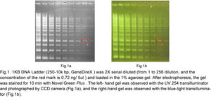 Novel Green Plus (20000X) (DNA Staining Reagent) - Clover Biosciences, LLC