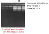 Total RNA Isolation Kit - Clover Biosciences, LLC
