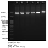 Novel Juice (DNA Staining Reagent) - Clover Biosciences, LLC