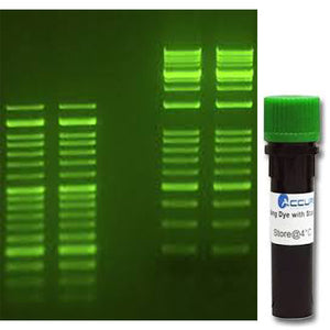 SmartGlow™ Loading Dye with Safe Green Stain, 1.0ml - Clover Biosciences, LLC